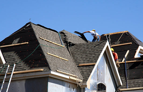 Best Roof Gutter Cleaning  in Mount Pleasant, IA