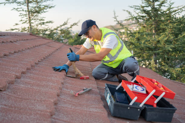 Best Roof Repair Services  in Mount Pleasant, IA