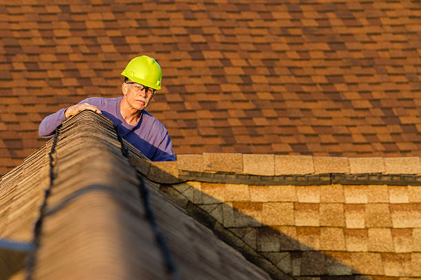 Best Metal Roofing Contractor  in Mount Pleasant, IA
